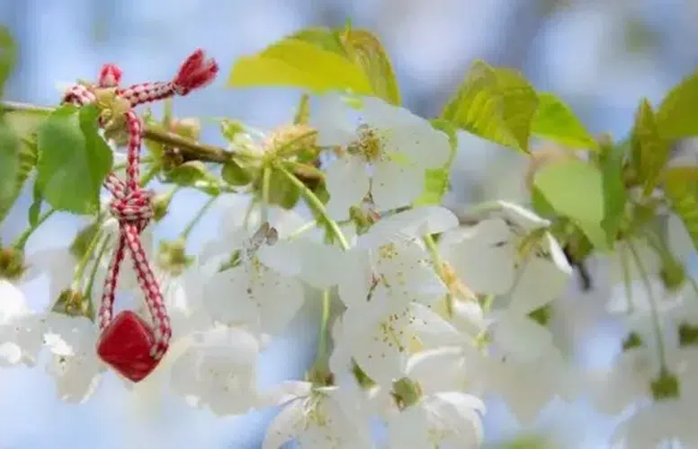 Marteniçka Ne Zaman Çıkarılır ve Geleneksel Ritüeli Nasıldır?