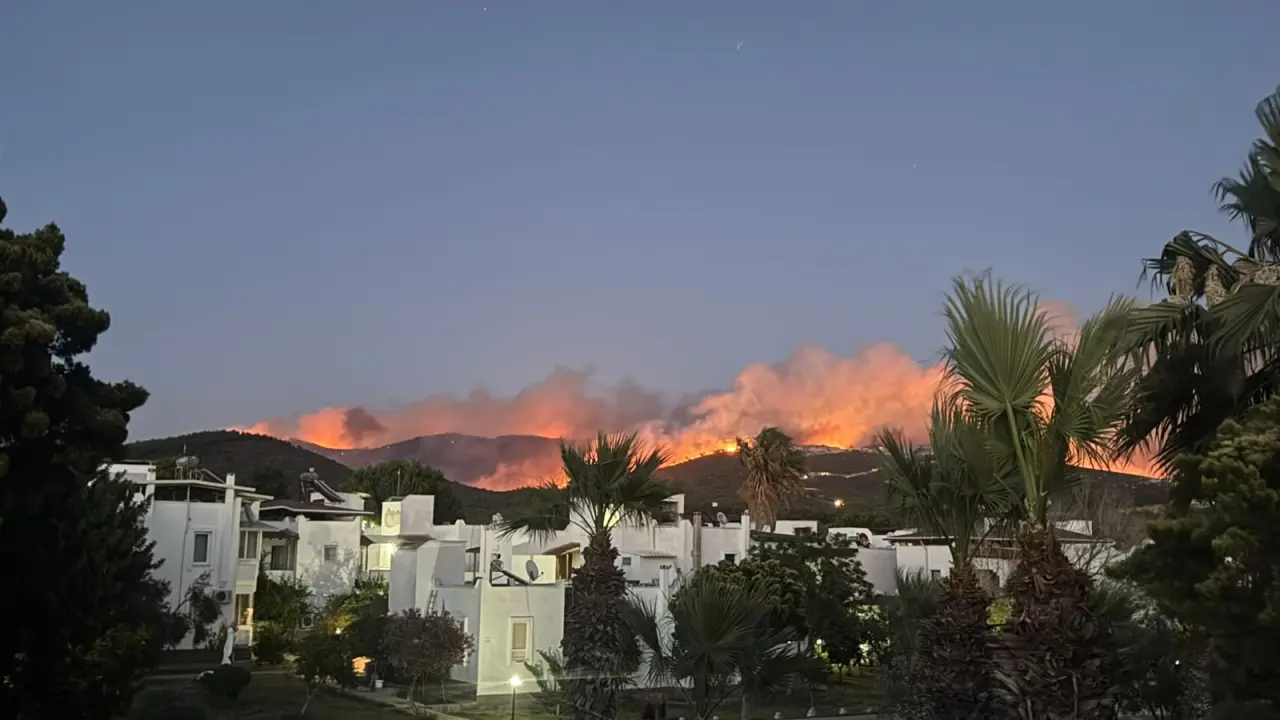 Muğla’nın Milas ilçesinde orman yangını 3