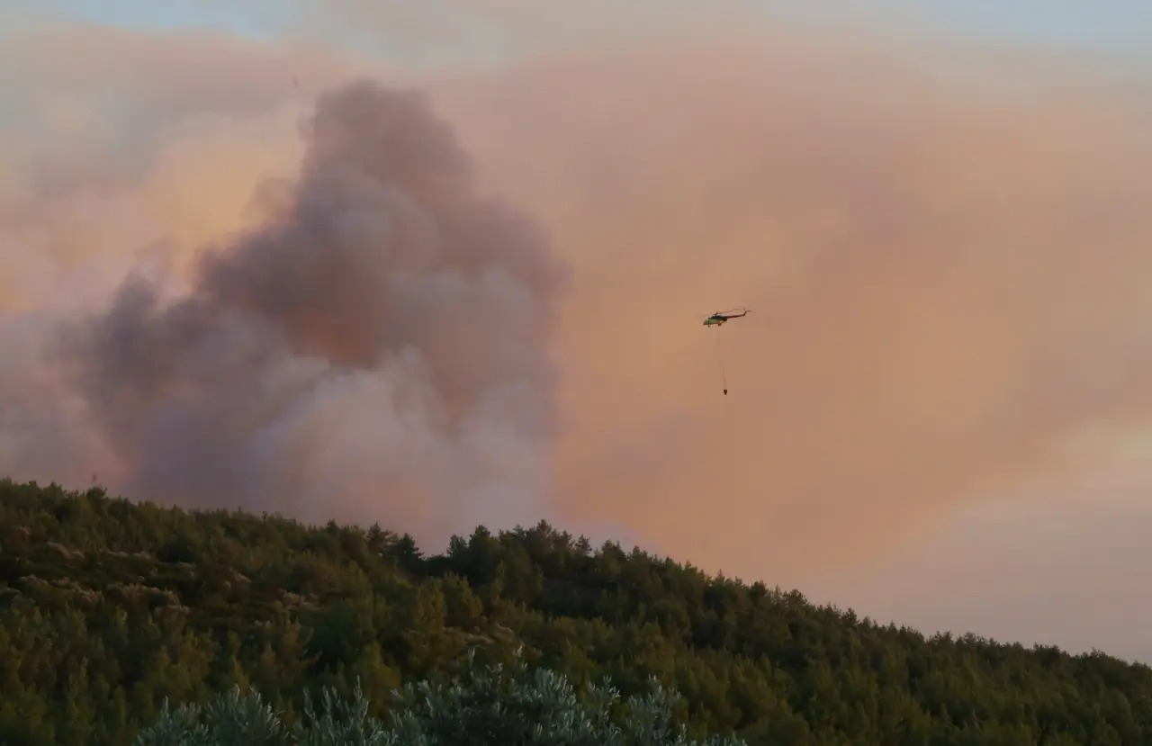 Muğla’nın Milas ilçesinde orman yangını 2